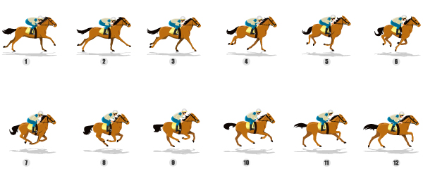 Sequence of 2D animation frames showing a horse in motion, symbolizing Coldea Productions' expertise in 2D animation video production.