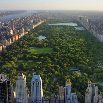 A breathtaking drone aerial view of Central Park surrounded by the New York City skyline, showcasing Coldea Productions' drone and aerial photography services.