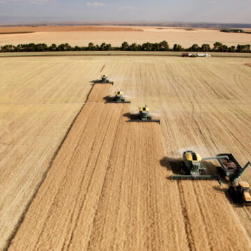 Aerial view of multiple combines harvesting a vast wheat field, captured by Coldea Productions’ drone photography service.