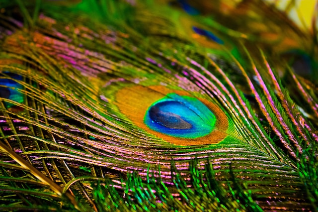 Don’t shy away from using saturated colors