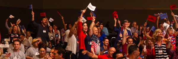 Excited event attendees waving flags during a vibrant nationwide event, captured by Coldea Productions' professional photography services.