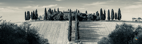 real estate video presentation