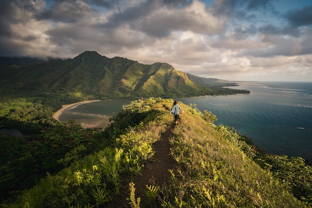 Overlook of Makua Beach, Oahu, Hawaii, with a view of the sandy shoreline and blue ocean waters.