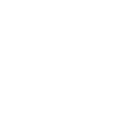 eael-fg-video-play-icon